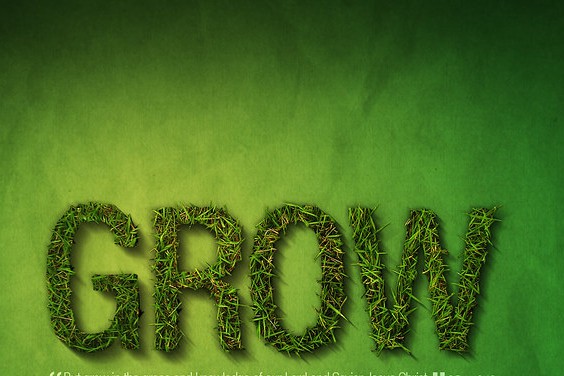 Grow v2