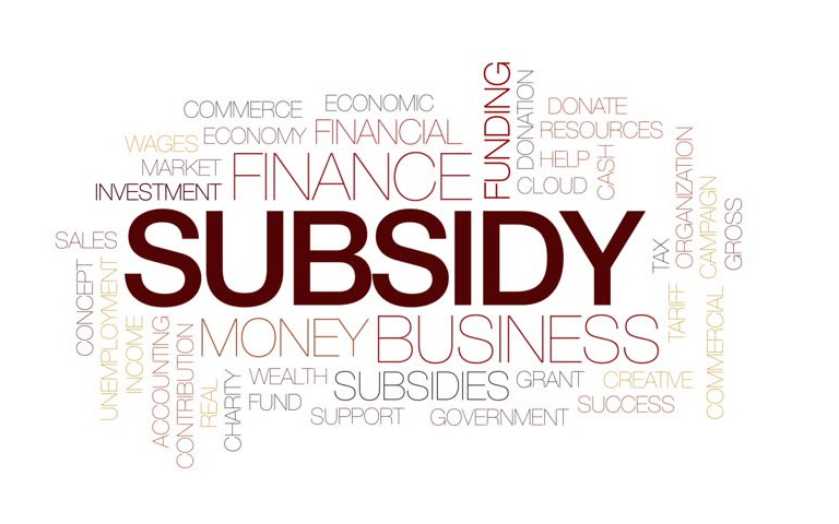 subsidy